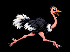 Animated clip-art ostrich running